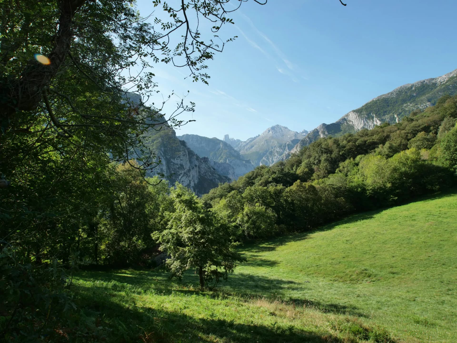 Praderas y montañas de los Picos de Europa en Asturias